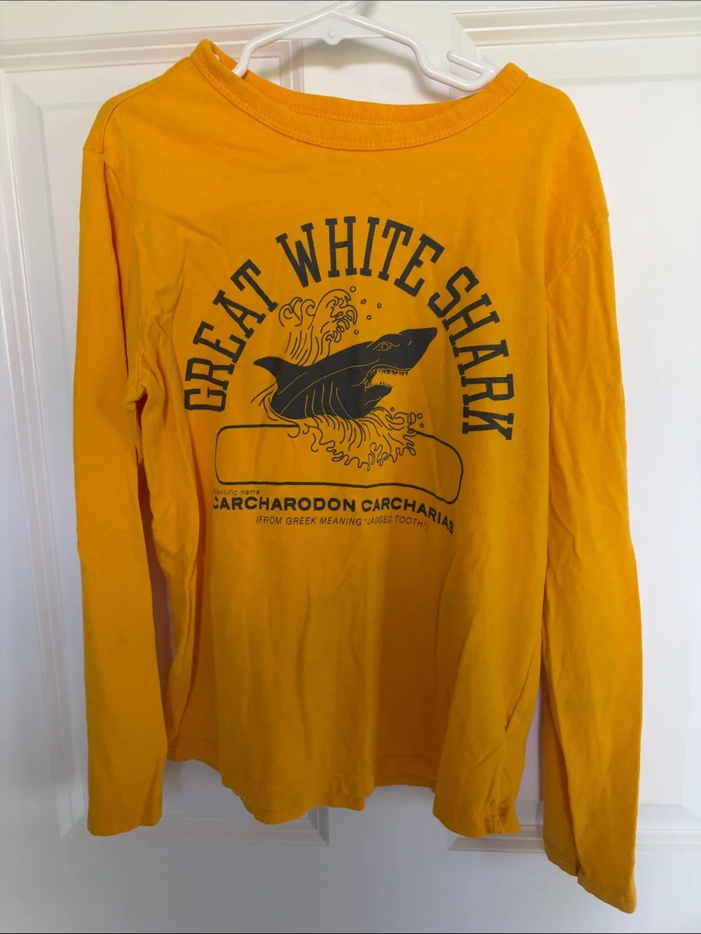 GAP Yellow Long-Sleeve 